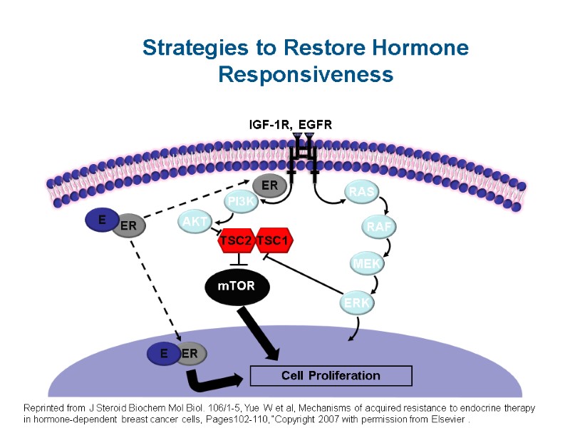 Strategies to Restore Hormone Responsiveness Reprinted from J Steroid Biochem Mol Biol. 106/1-5, Yue